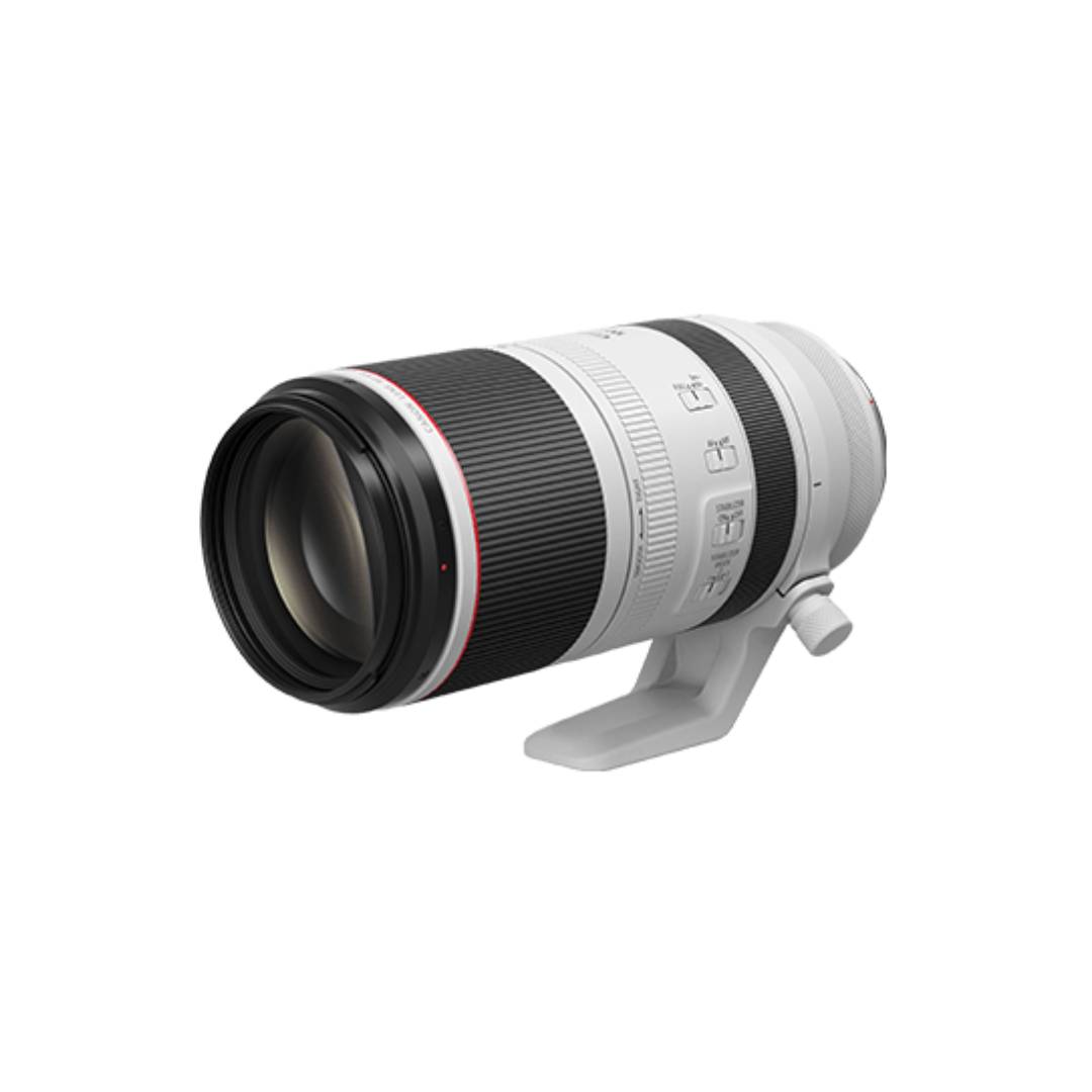 Canon RF 100-500 F4.5-7.1 L IS USM