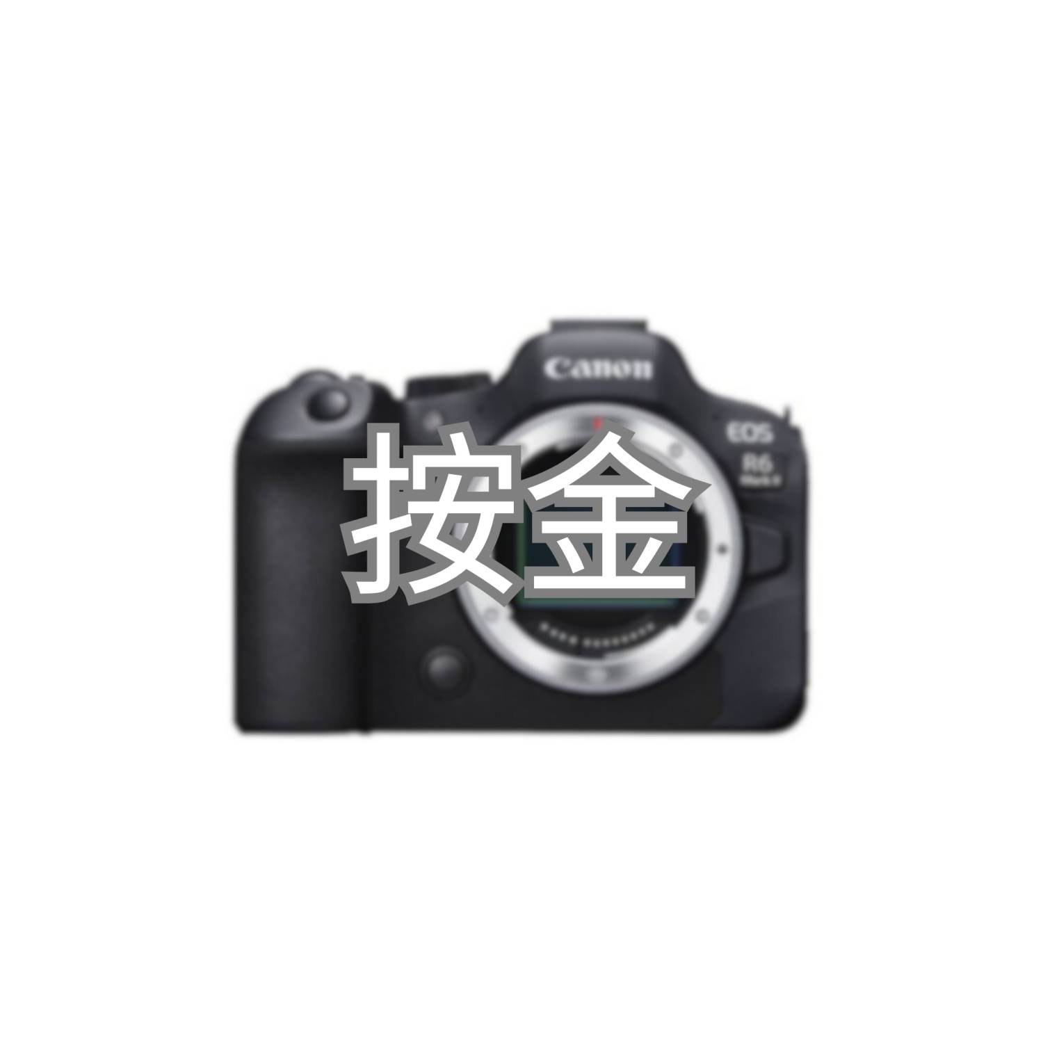 Canon EOS R6ii 按金