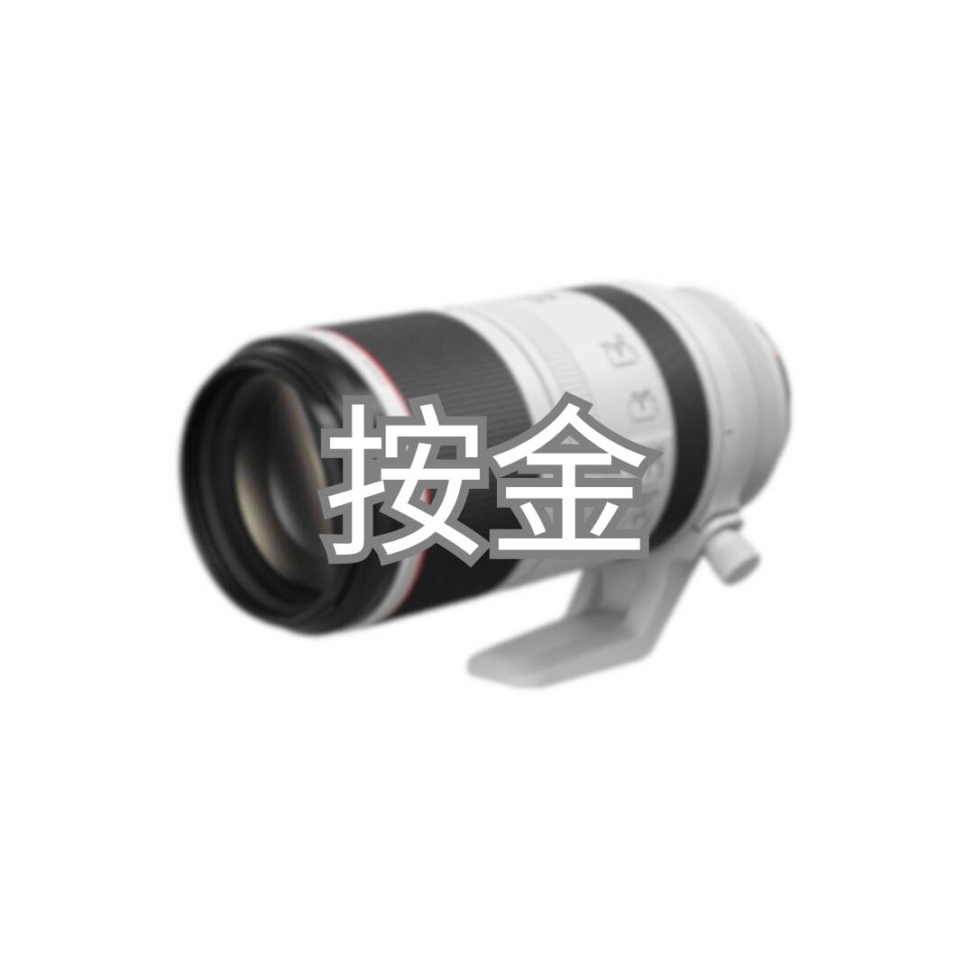 Canon RF 100-500 F4.5-7.1 L IS USM 按金